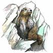 Avatar de Funky Marmotte
